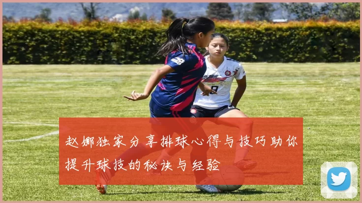 赵娜独家分享排球心得与技巧助你提升球技的秘诀与经验