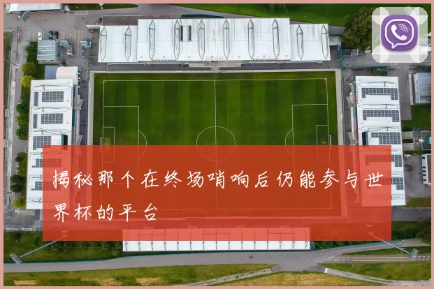 揭秘那个在终场哨响后仍能参与世界杯的平台