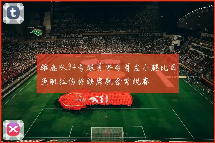 雄鹿队34号球员字母哥左小腿比目鱼肌拉伤将缺席剩余常规赛