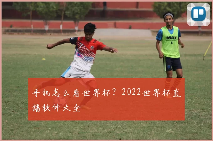 手机怎么看世界杯?2022世界杯直播软件大全