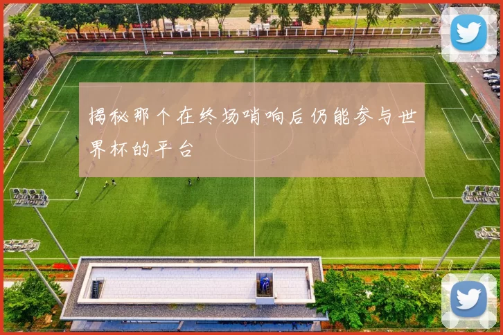 揭秘那个在终场哨响后仍能参与世界杯的平台