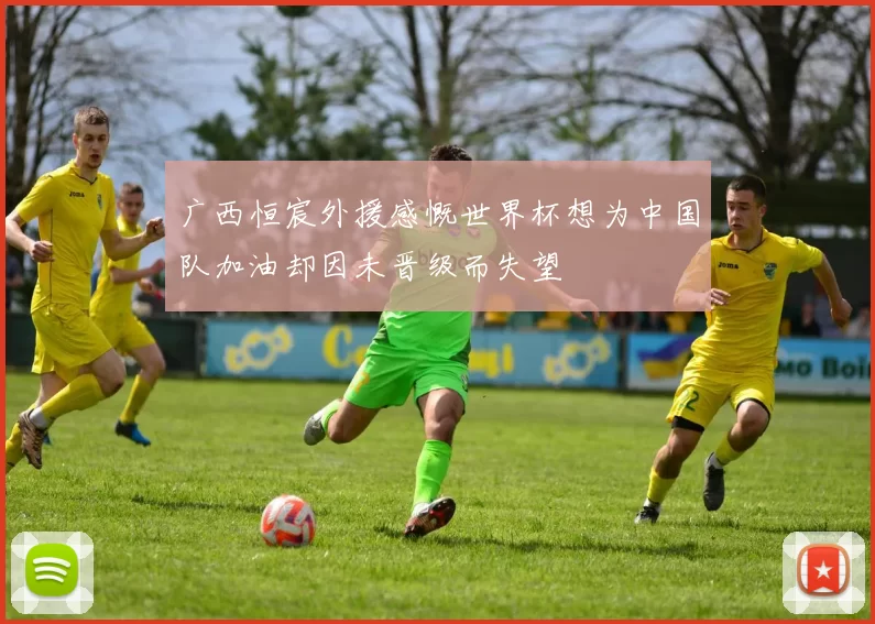 广西恒宸外援感慨世界杯想为中国队加油却因未晋级而失望