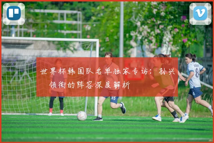 世界杯韩国队名单独家专访：孙兴慜领衔的阵容深度解析