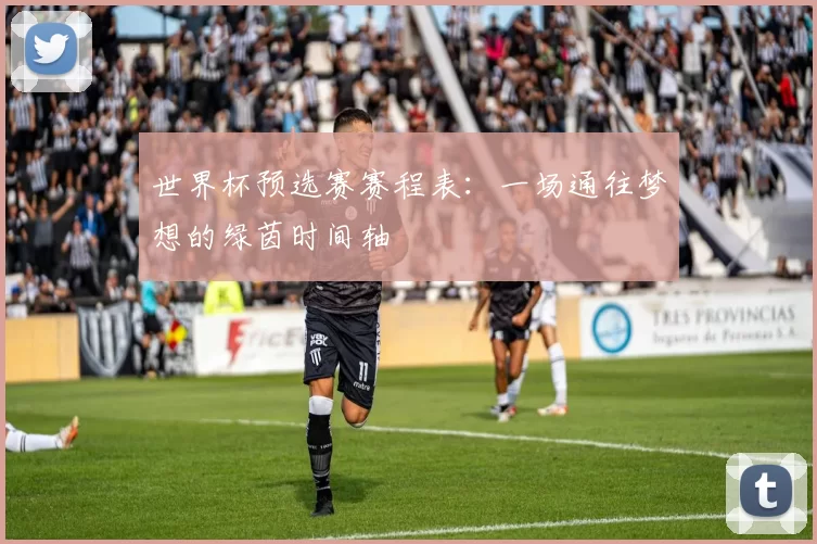 世界杯预选赛赛程表:一场通往梦想的绿茵时间轴