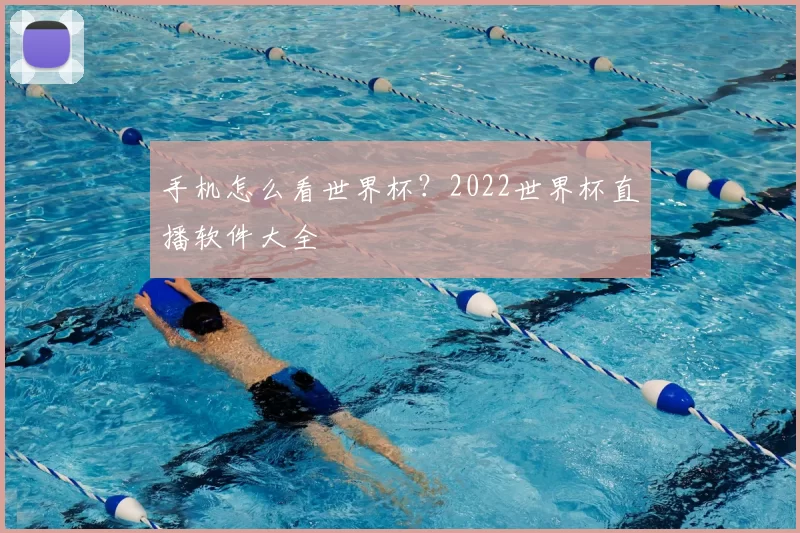 手机怎么看世界杯？2022世界杯直播软件大全