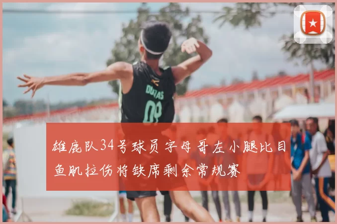 雄鹿队34号球员字母哥左小腿比目鱼肌拉伤将缺席剩余常规赛
